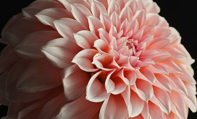 Photo taken with the Xiaomi 17 Pro Maxs Leica periscope telephoto camera Photo taken with the Xiaomi 17 Pro Max's Leica periscope telephoto camera